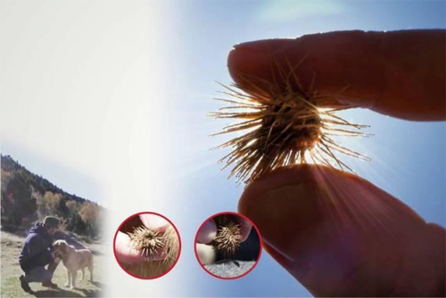 鉤住不放的靈感，一段屬于VELCRO搭扣的傳奇